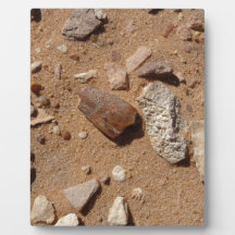 Fossil in the dessert plaques