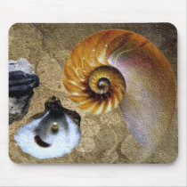 Fossil Mousepad