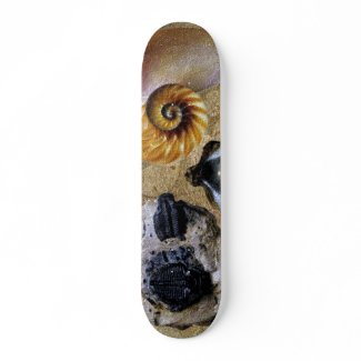 Fossil Skateboard skateboard