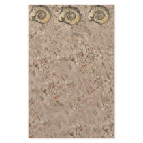 Fossil Stationery by Ljrigg Fossil Stationery