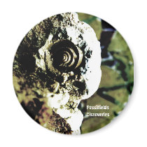 Fossilfields Discoveries Magnet by thefossilfields Fossilfields Discoveries Magnet