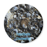 Fossilfields Discoveries Magnet