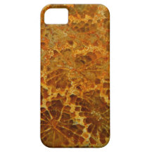 Fossilized coral natural jasper gemstone iPhone 5 cover