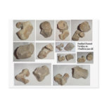 FOSSILIZED MAMMAL VERTEBRA POST CARDS