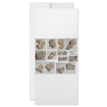 FOSSILIZED MAMMAL VERTEBRA RACK CARDS
