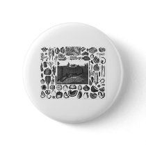 FOSSILS PINS