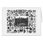 FOSSILS CARDS