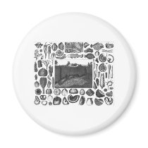 FOSSILS FRIDGE MAGNETS