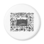FOSSILS FRIDGE MAGNETS