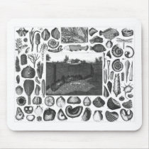 FOSSILS MOUSE PAD