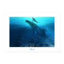 FOSSILS PRINT by COREY__FORD FOSSILS PRINT