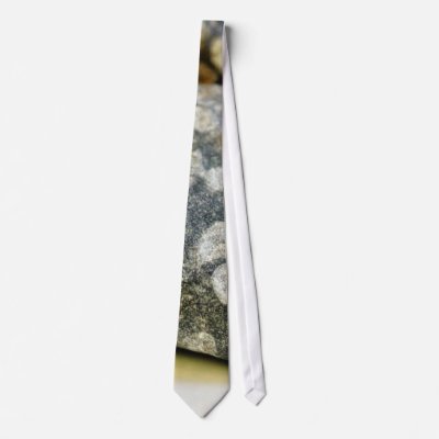 Fossils Rocks Coral Neckties Fossils In Rocks. Fossils Rocks Coral Neckties