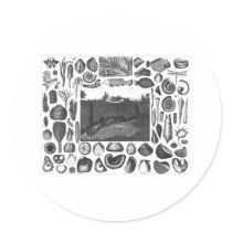 FOSSILS ROUND STICKERS
