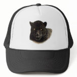 FOTC PANTHER HAT BRET FLIGHT CONCHORDS HBO