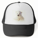 FOTC POLAR BEAR CUB BRET HAT FLIGHT CONCHORDS HBO