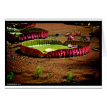Fotografía Hawaii 007 de Naik Miguel Tarjetón