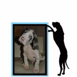 Fotoramen with Springdogge Cut Outs