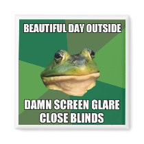 Foul Bachelor Frog Beautiful Day Magnet