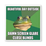 Foul Bachelor Frog Beautiful Day Magnet