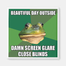 Foul Bachelor Frog Beautiful Day Magnet