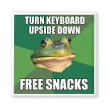 Foul Bachelor Frog Free Snscks Fridge Magnets