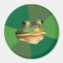 Foul Bachelor Frog Refrigerator Magnet