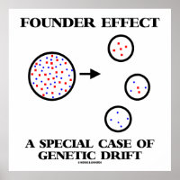 Founder Effect A Special Case Of Genetic Drift Poster