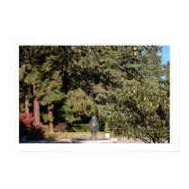 Fountain and Trees posters