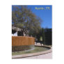 Fountain at Arboretum Post Card