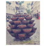 Fountain Flyers