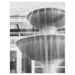 Fountain Flyers