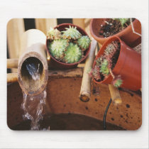 fountain mousepads