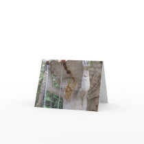 Fountain Notecards