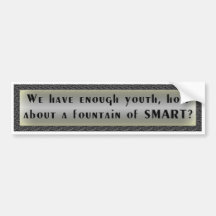 Fountain of Smart Bumper Sticker