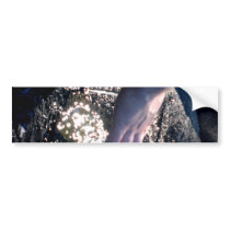 Fountain of Youth Bumper Stickers