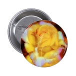 Fountain Of Youth buttons