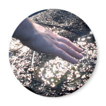 Fountain of Youth Fridge Magnets