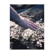 Fountain of Youth Postcards