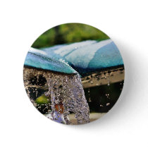 Fountains At The Birch Aquarium In La Jolla buttons