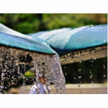 Fountains At The Birch Aquarium In La Jolla photo sculptures by lifesphere Fountains At The Birch Aquarium In La Jolla photo sculptures