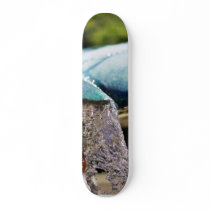 Fountains At The Birch Aquarium In La Jolla skateboards