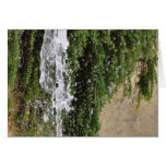 Fountains Water Spout Card