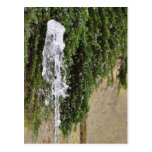 Fountains Water Spout Post Card
