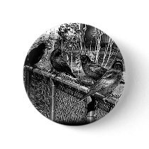 Four Black Crows Sitting on Fence buttons
