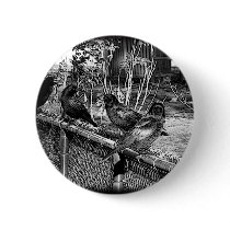 Four Black Crows Sitting on Fence buttons