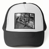 Four Black Crows Sitting on Fence hats