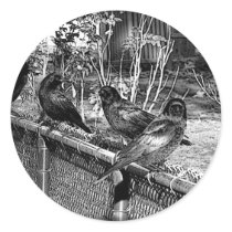 Four Black Crows Sitting on Fence stickers