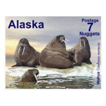 Four Brothers Post Card