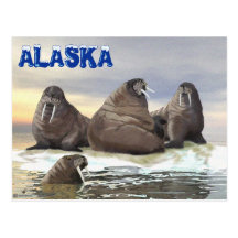 Four Brothers Post Cards