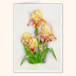 Four Buds watercolor art greeting card cards